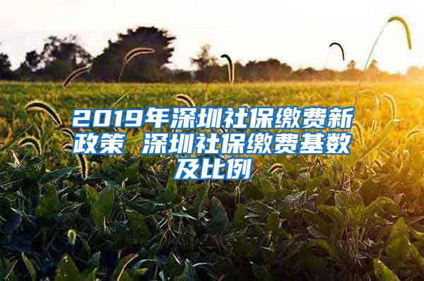 2019年深圳社保缴费新政策 深圳社保缴费基数及比例