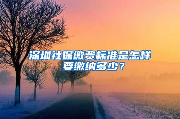 深圳社保缴费标准是怎样 要缴纳多少？