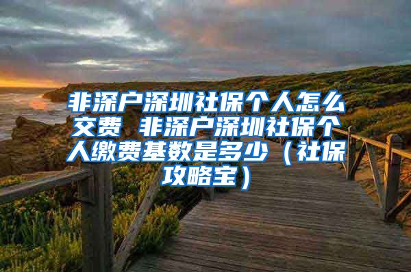 非深户深圳社保个人怎么交费 非深户深圳社保个人缴费基数是多少（社保攻略宝）