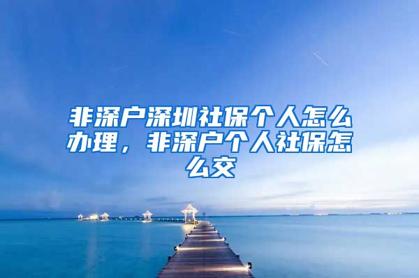 非深户深圳社保个人怎么办理，非深户个人社保怎么交