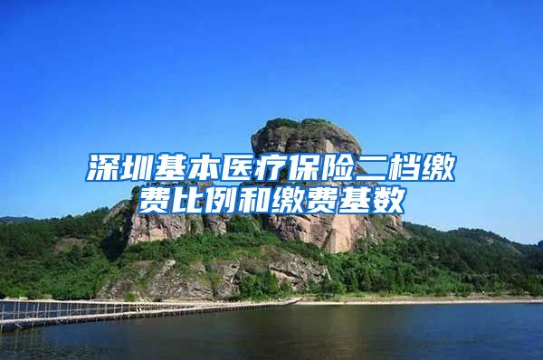 深圳基本医疗保险二档缴费比例和缴费基数