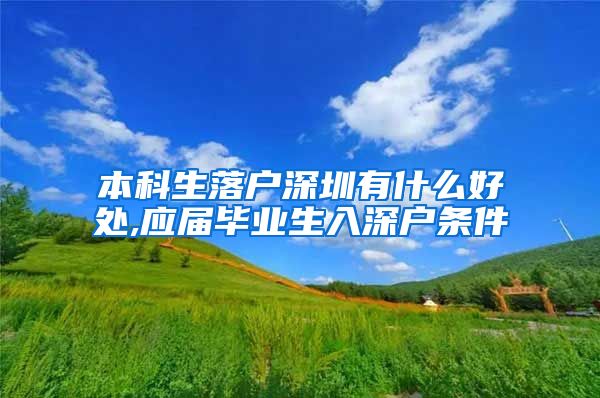 本科生落户深圳有什么好处,应届毕业生入深户条件