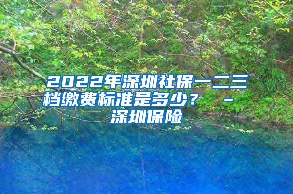 2022年深圳社保一二三档缴费标准是多少？ – 深圳保险