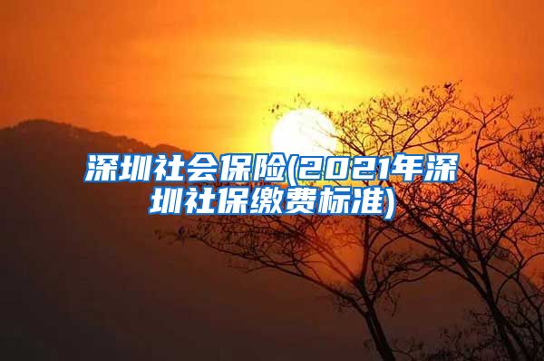 深圳社会保险(2021年深圳社保缴费标准)