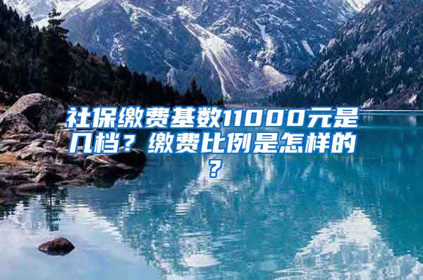 社保缴费基数11000元是几档？缴费比例是怎样的？