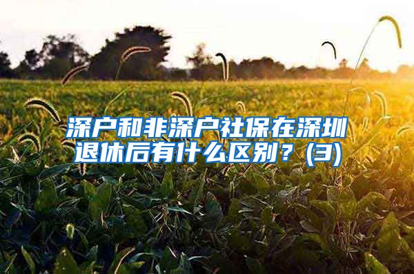 深户和非深户社保在深圳退休后有什么区别？(3)