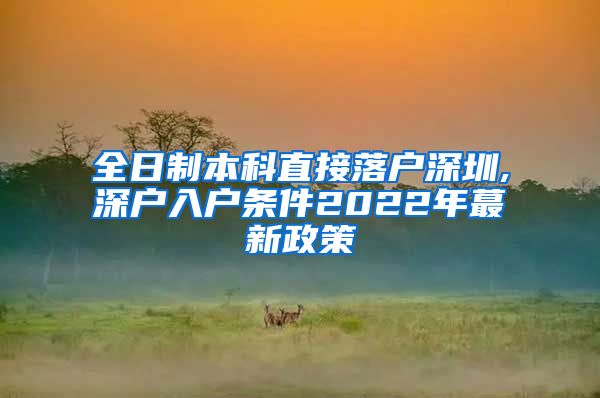 全日制本科直接落户深圳,深户入户条件2022年蕞新政策