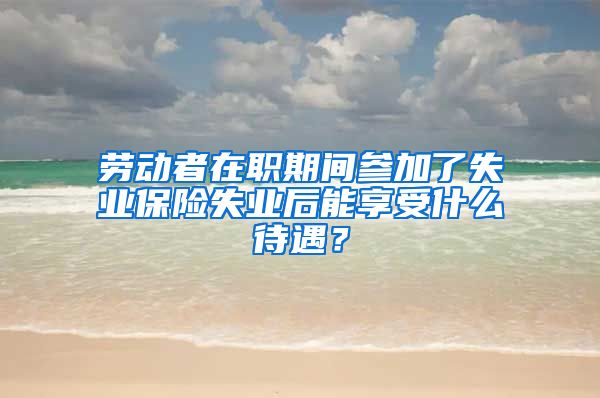 劳动者在职期间参加了失业保险失业后能享受什么待遇？