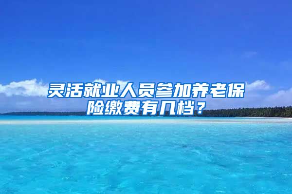 灵活就业人员参加养老保险缴费有几档？