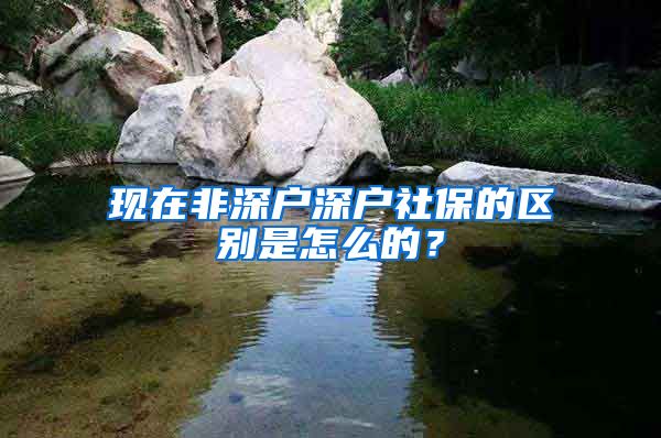 现在非深户深户社保的区别是怎么的？