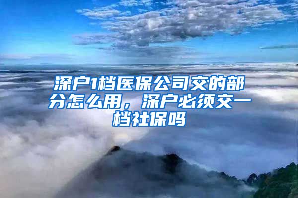 深户1档医保公司交的部分怎么用，深户必须交一档社保吗