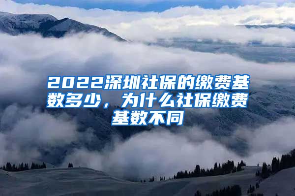 2022深圳社保的缴费基数多少，为什么社保缴费基数不同