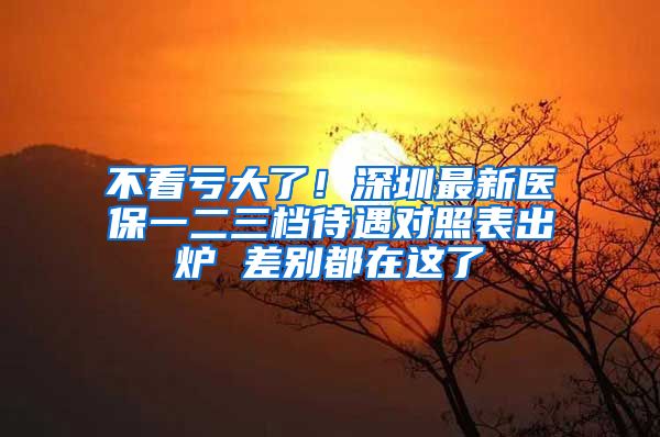 不看亏大了！深圳最新医保一二三档待遇对照表出炉 差别都在这了