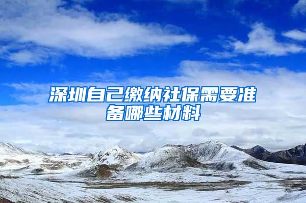 深圳自己缴纳社保需要准备哪些材料