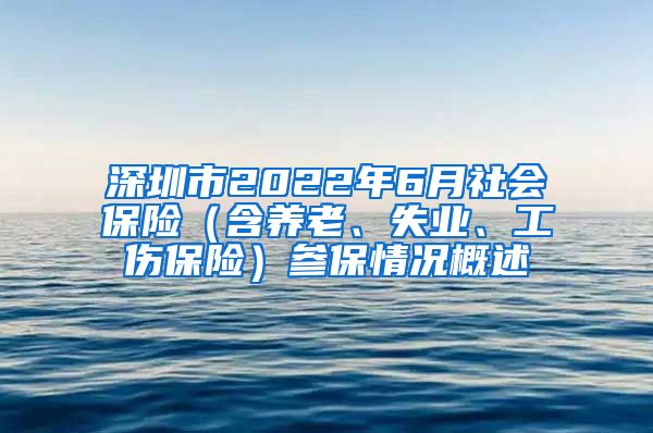 深圳市2022年6月社会保险（含养老、失业、工伤保险）参保情况概述