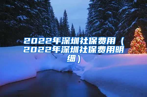 2022年深圳社保费用（2022年深圳社保费用明细）