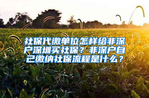 社保代缴单位怎样给非深户深圳买社保？非深户自己缴纳社保流程是什么？