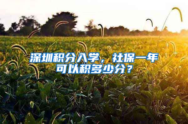 深圳积分入学，社保一年可以积多少分？