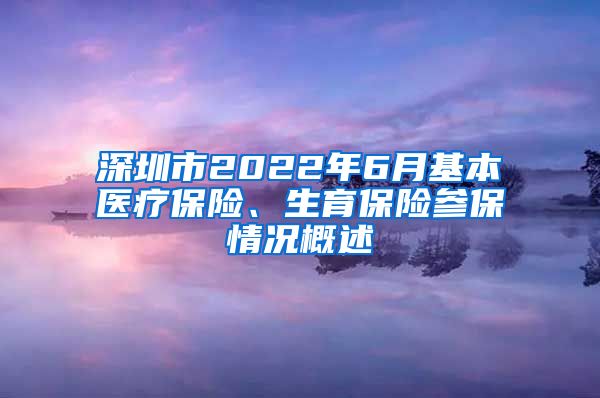 深圳市2022年6月基本医疗保险、生育保险参保情况概述