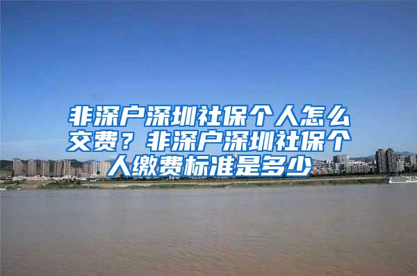 非深户深圳社保个人怎么交费？非深户深圳社保个人缴费标准是多少