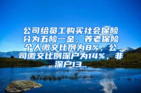 公司给员工购买社会保险分为五险一金，养老保险个人缴交比例为8%，公司缴交比例深户为14%，非深户13..