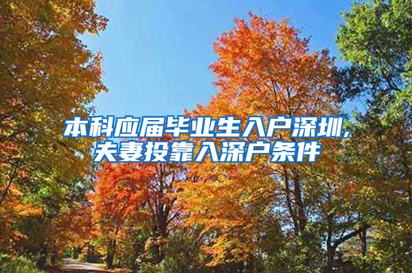 本科应届毕业生入户深圳,夫妻投靠入深户条件