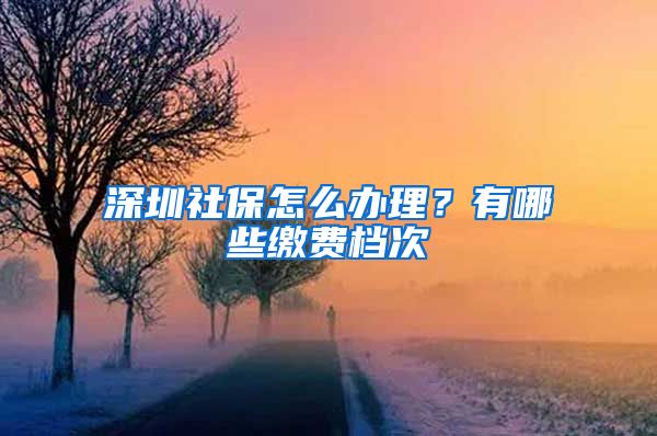 深圳社保怎么办理？有哪些缴费档次