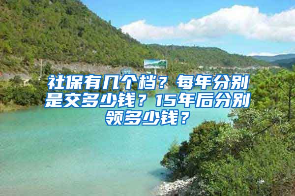 社保有几个档？每年分别是交多少钱？15年后分别领多少钱？