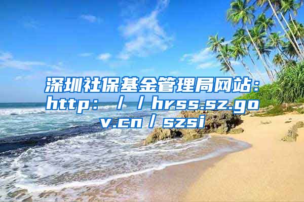 深圳社保基金管理局网站：http：／／hrss.sz.gov.cn／szsi