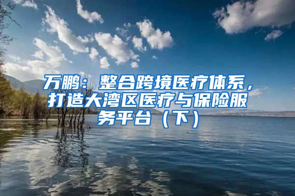 万鹏：整合跨境医疗体系，打造大湾区医疗与保险服务平台（下）