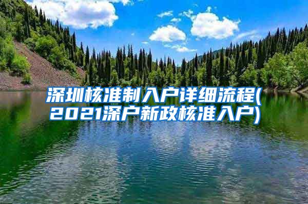 深圳核准制入户详细流程(2021深户新政核准入户)