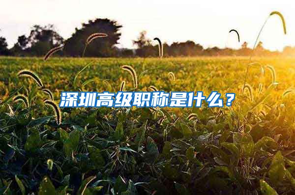 深圳高级职称是什么？