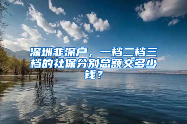 深圳非深户，一档二档三档的社保分别总额交多少钱？