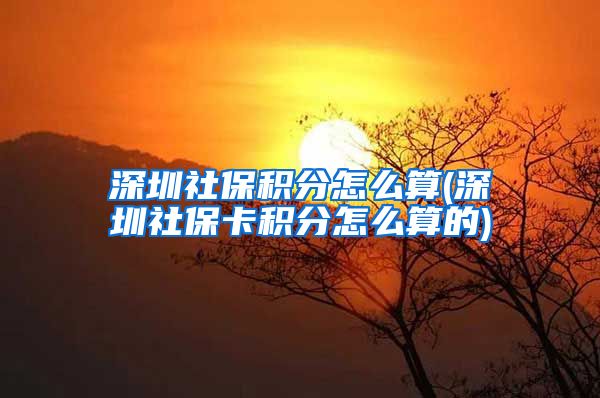 深圳社保积分怎么算(深圳社保卡积分怎么算的)