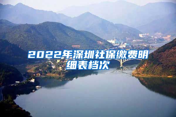 2022年深圳社保缴费明细表档次