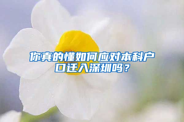 你真的懂如何应对本科户口迁入深圳吗？