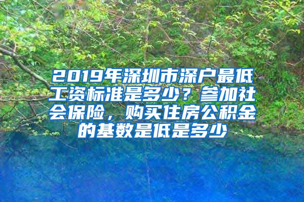 2019年深圳市深户最低工资标准是多少？参加社会保险，购买住房公积金的基数是低是多少