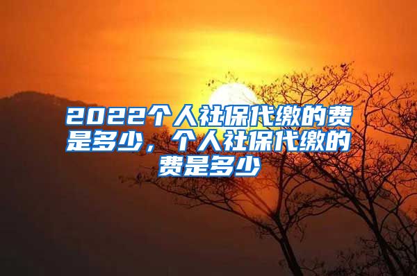 2022个人社保代缴的费是多少，个人社保代缴的费是多少