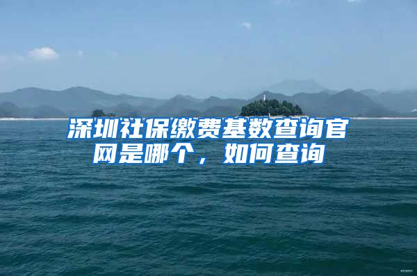 深圳社保缴费基数查询官网是哪个，如何查询