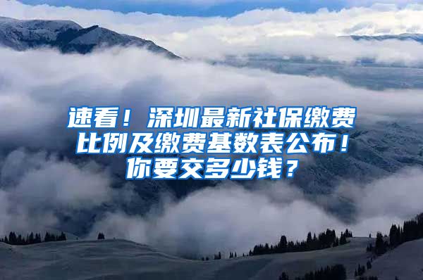 速看！深圳最新社保缴费比例及缴费基数表公布！你要交多少钱？