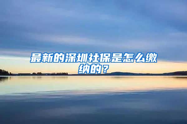 最新的深圳社保是怎么缴纳的？