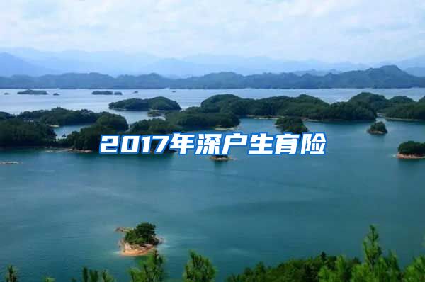 2017年深户生育险