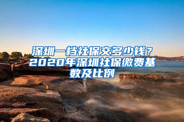 深圳一档社保交多少钱？2020年深圳社保缴费基数及比例