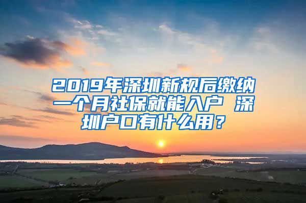 2019年深圳新规后缴纳一个月社保就能入户 深圳户口有什么用？