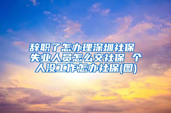 辞职了怎办理深圳社保 失业人员怎么交社保 个人没工作怎办社保(图)