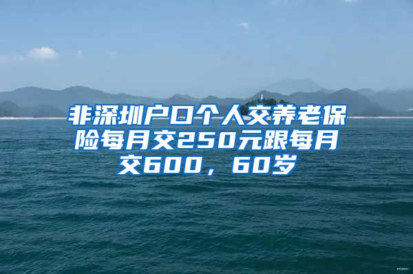 非深圳户口个人交养老保险每月交250元跟每月交600，60岁