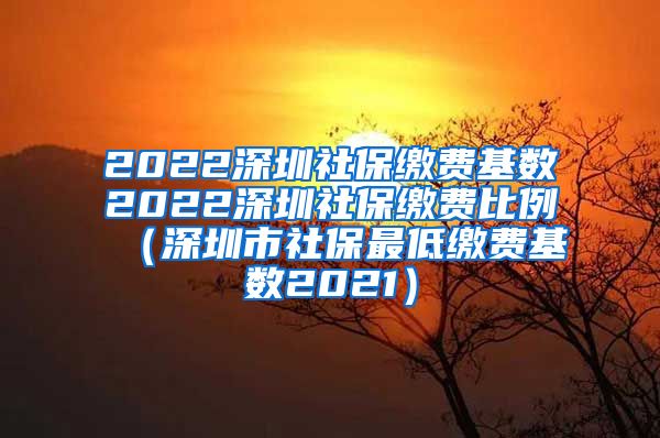 2022深圳社保缴费基数2022深圳社保缴费比例（深圳市社保最低缴费基数2021）