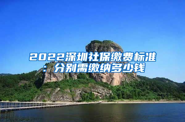 2022深圳社保缴费标准：分别需缴纳多少钱