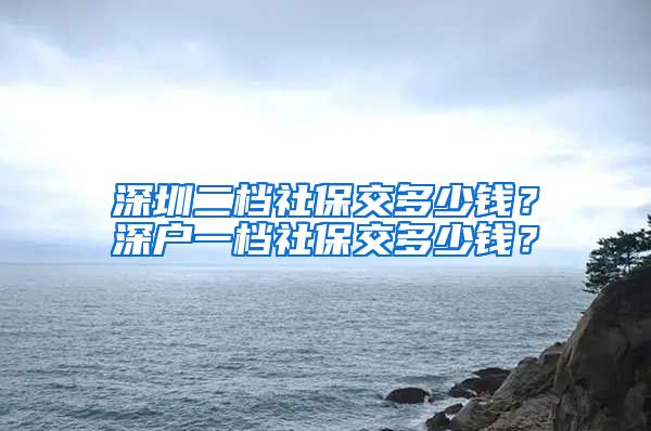 深圳二档社保交多少钱？深户一档社保交多少钱？