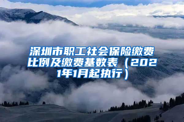 深圳市职工社会保险缴费比例及缴费基数表（2021年1月起执行）